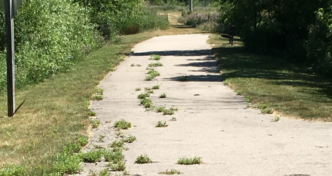 Don’t Stay in Place